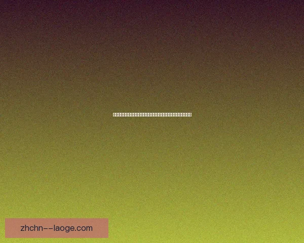 加维对阵巴西比赛表现解析与其在西甲争冠中的关键作用价值评估研究